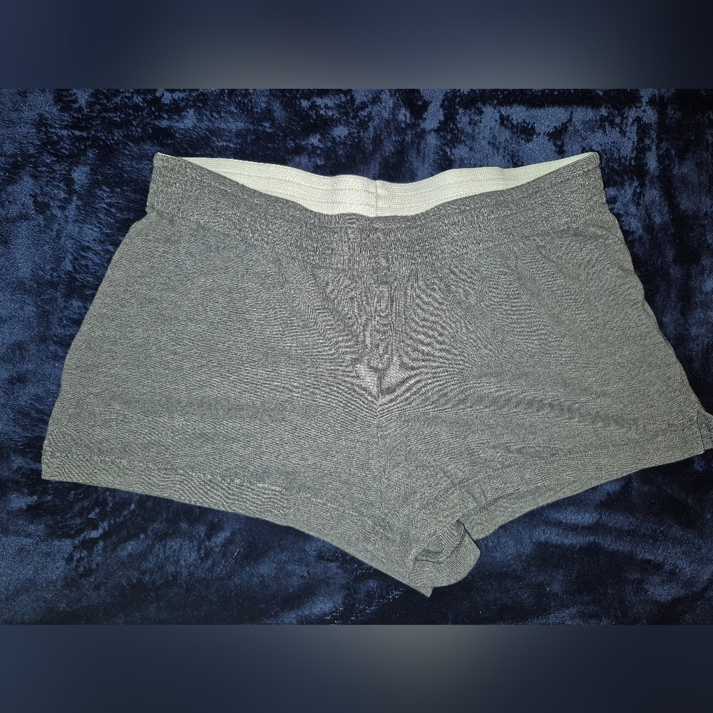 No Boundaries • Gray Shorts • Juniors Small 3/5
